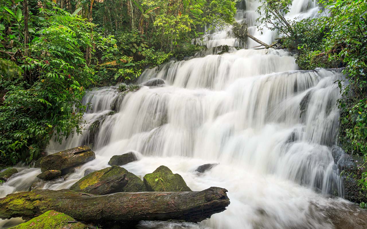 When is the best time to visit Thailand?