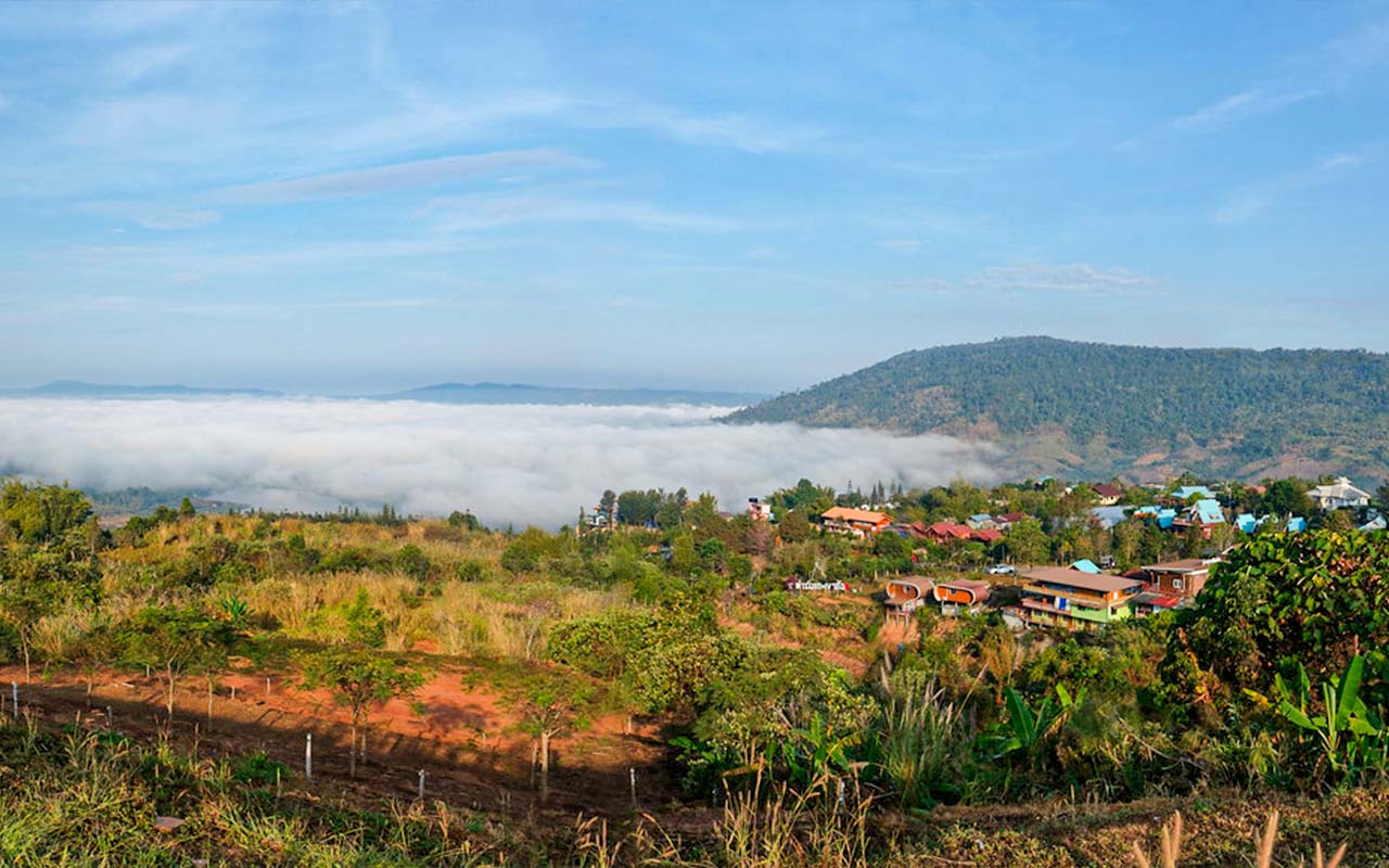 When is the best time to visit Thailand?