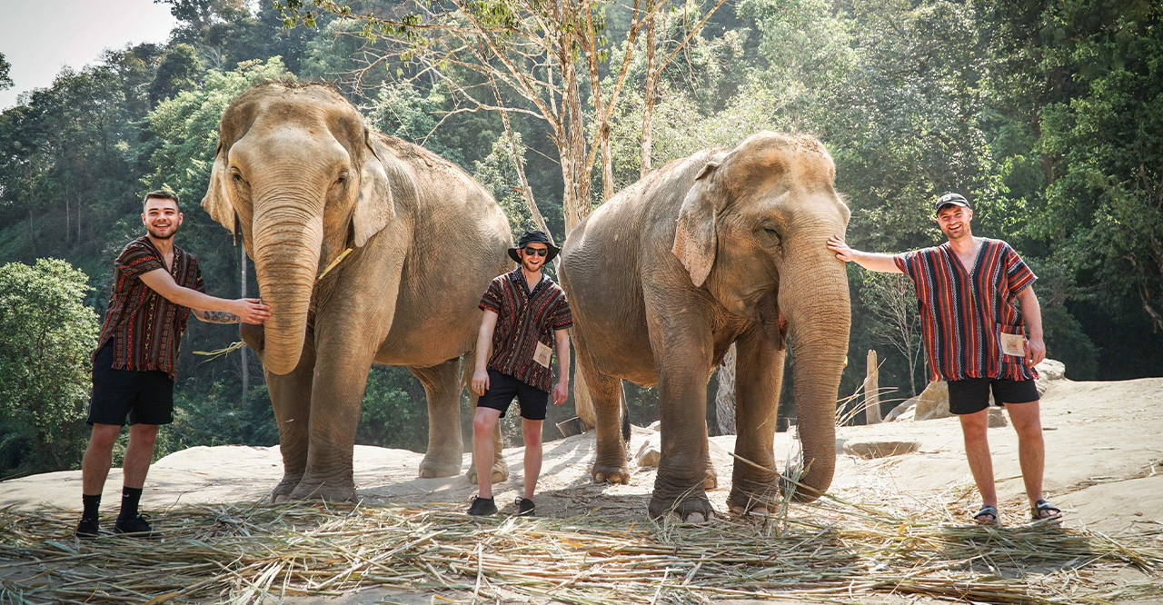 Tourists feeding elephants in a natural jungle setting at the Elephant Jungle Sanctuary in Thailand.