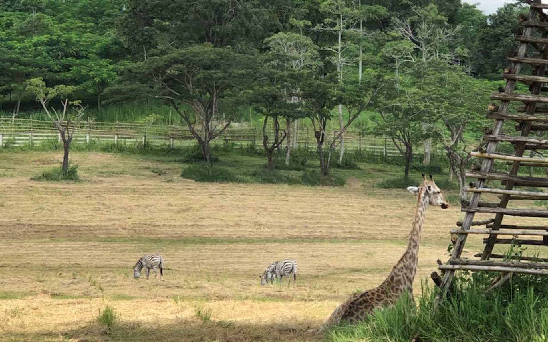 Chiang Rai - Unique check-in destination in Thailand