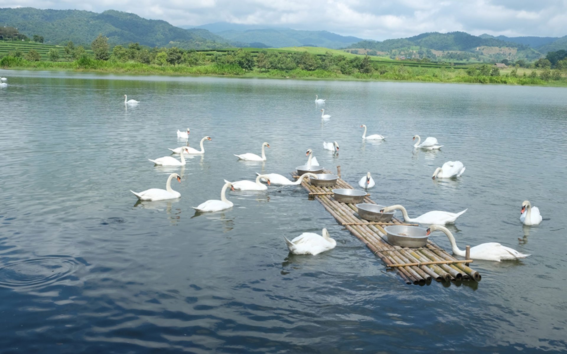 Chiang Rai - Unique check-in destination in Thailand