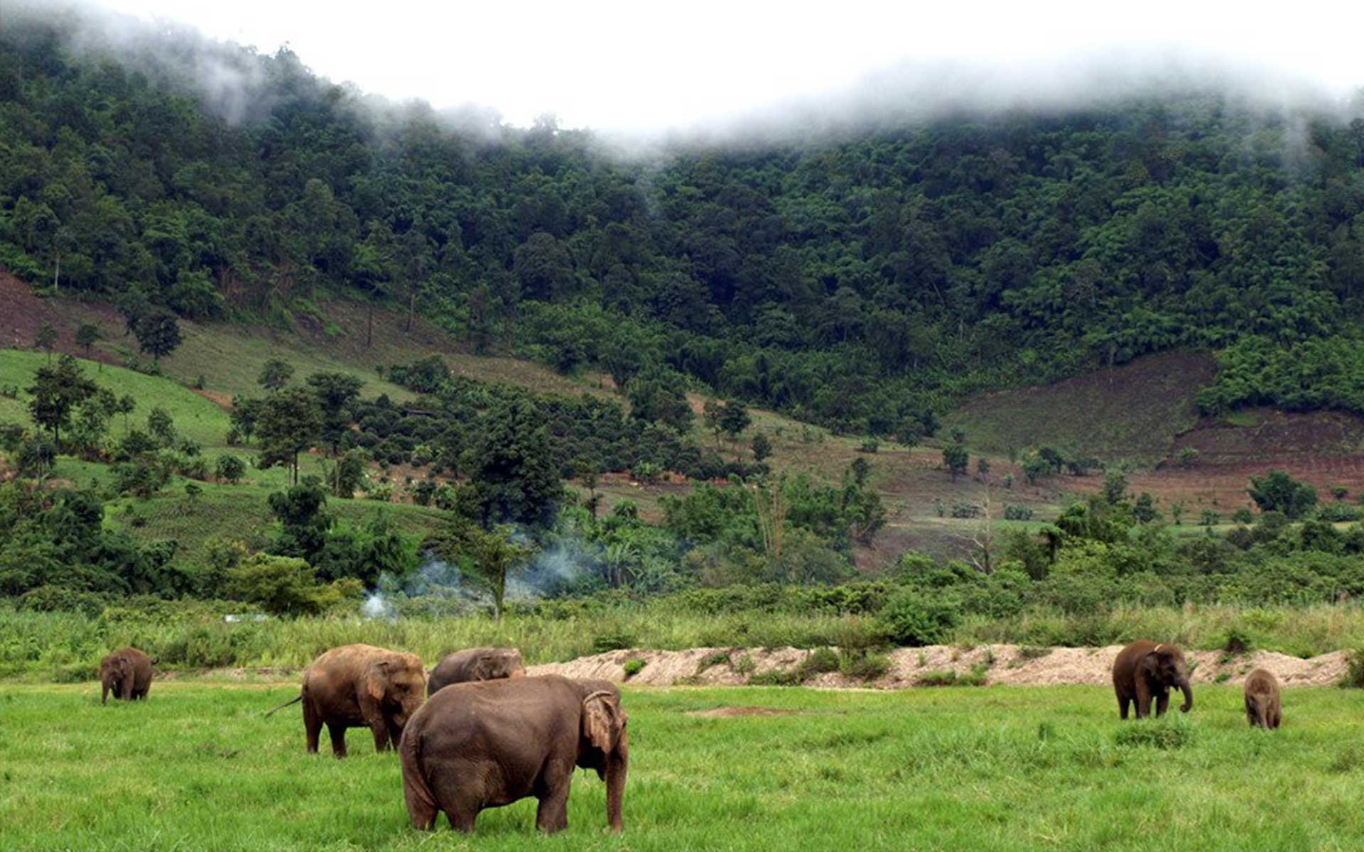 Chiang Rai - Unique check-in destination in Thailand