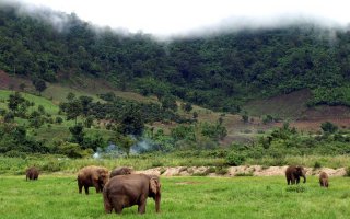 10 Great experiences to attract tourists for visiting Thailand