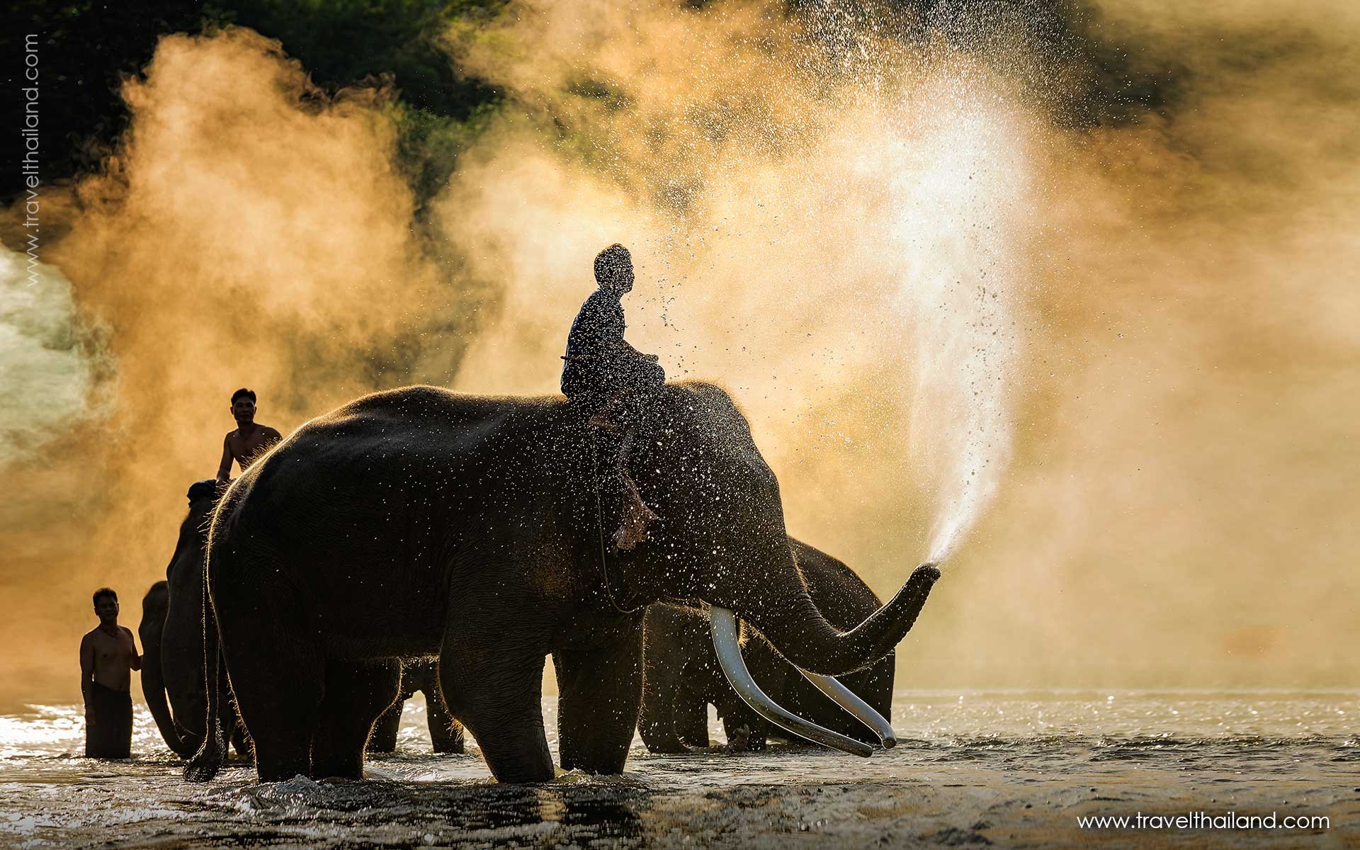 10 Best Private Thailand Tours for 2026
