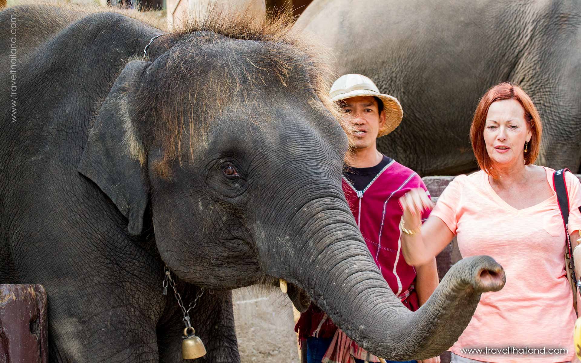 Amazing Thailand & Cambodia 10 days