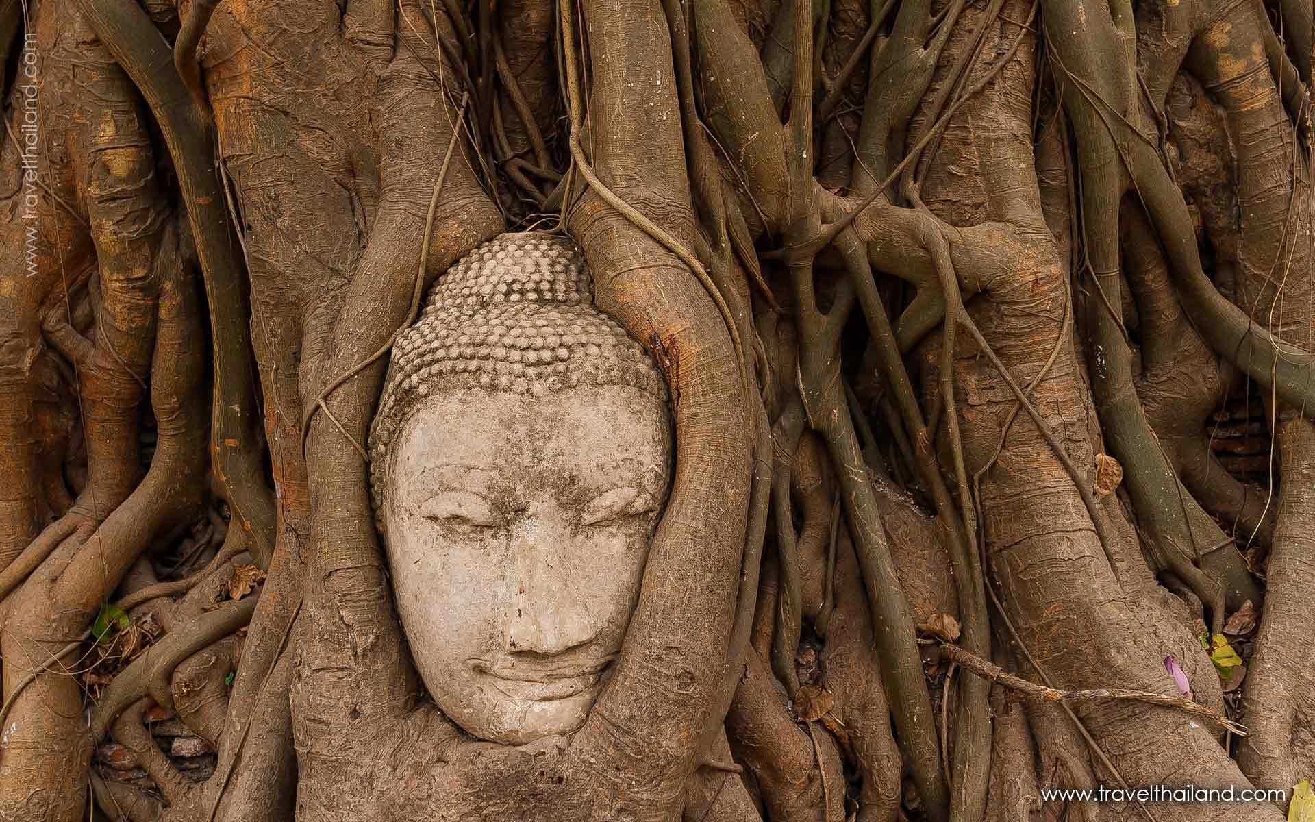 Thailand for lovers - 13 days
