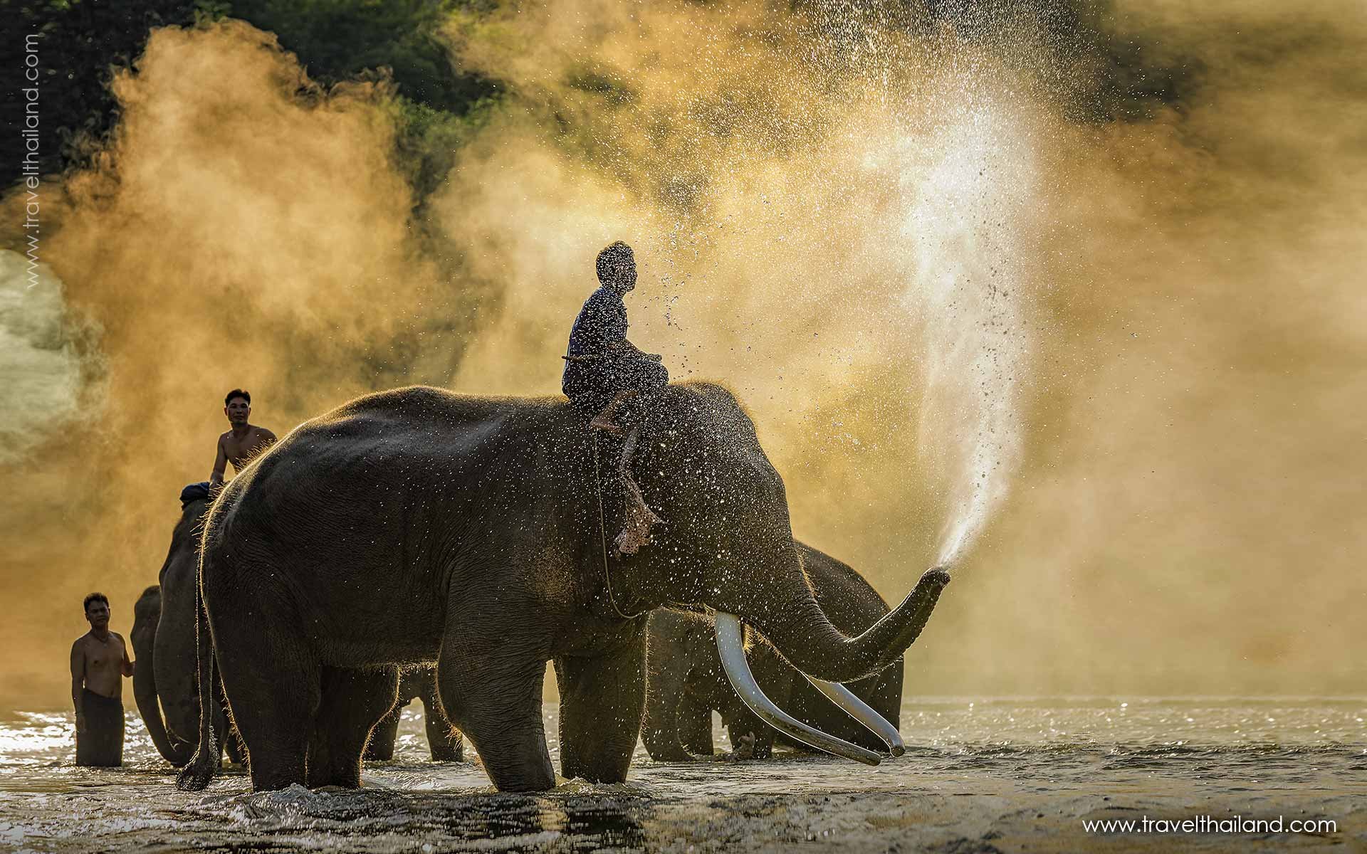 Essential Thailand - 10 days