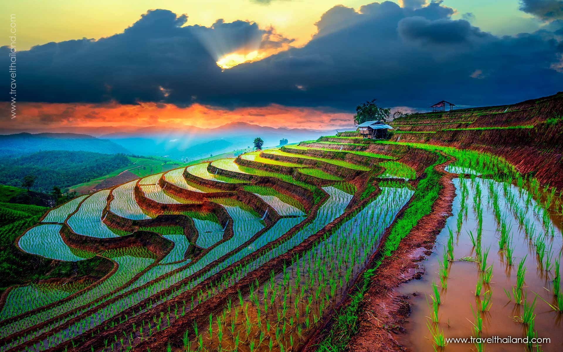 Taste of Thailand - 9 days Culinary Tour