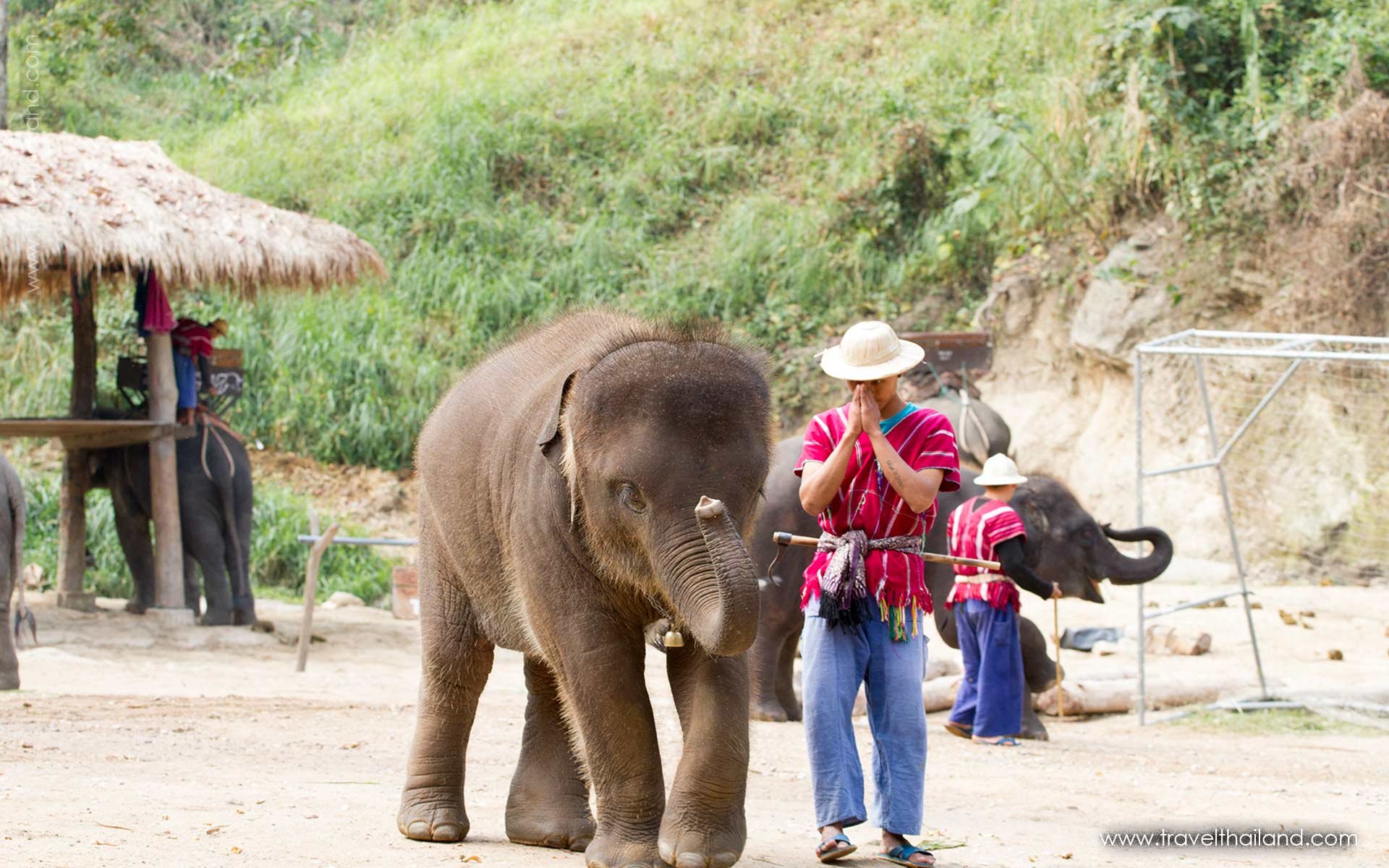 Highlights of Thailand - 8 days