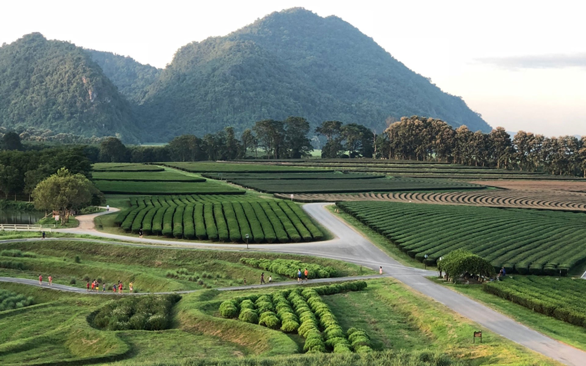Chiang Rai - Unique check-in destination in Thailand