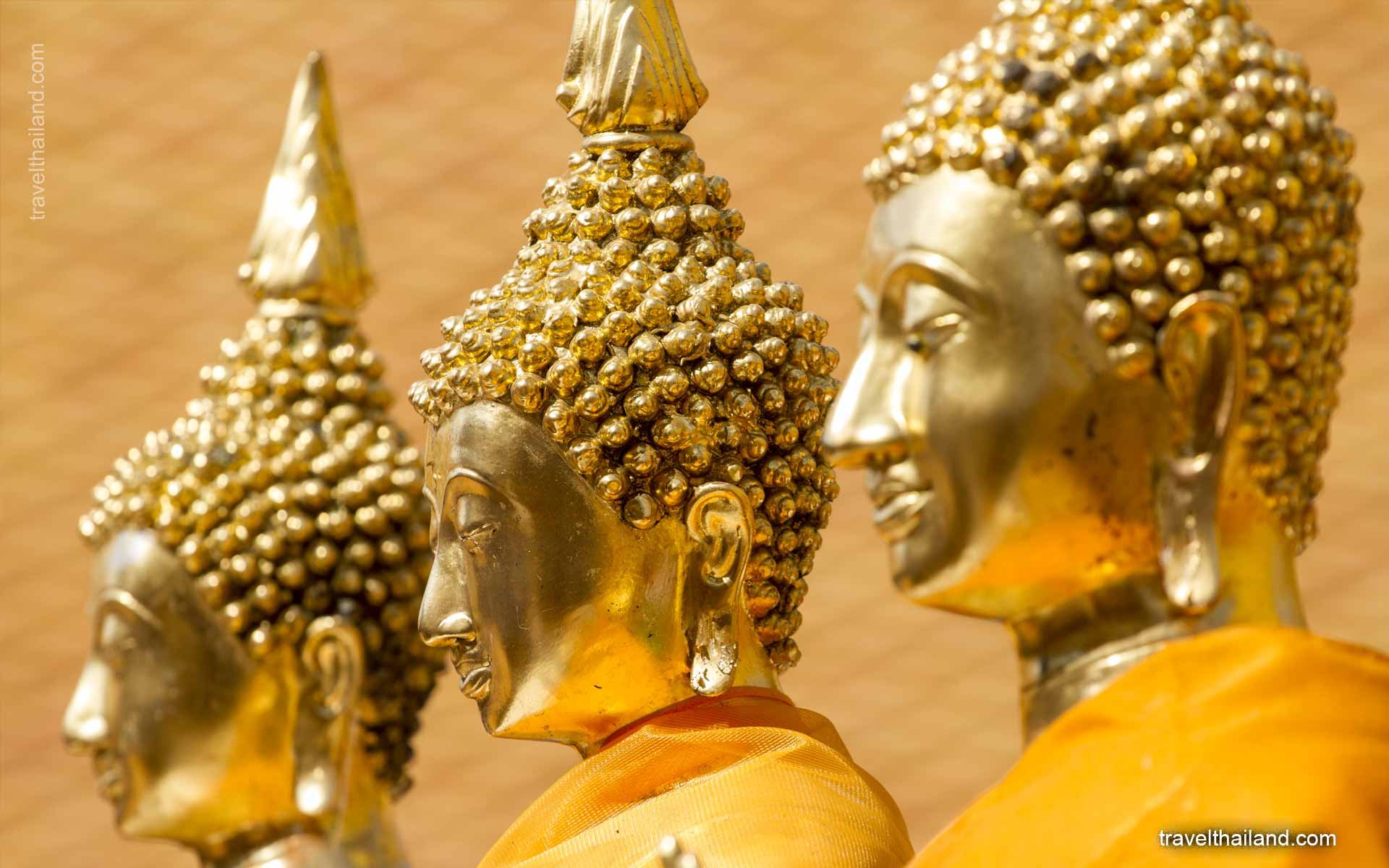 Why Thai people love the King so much?