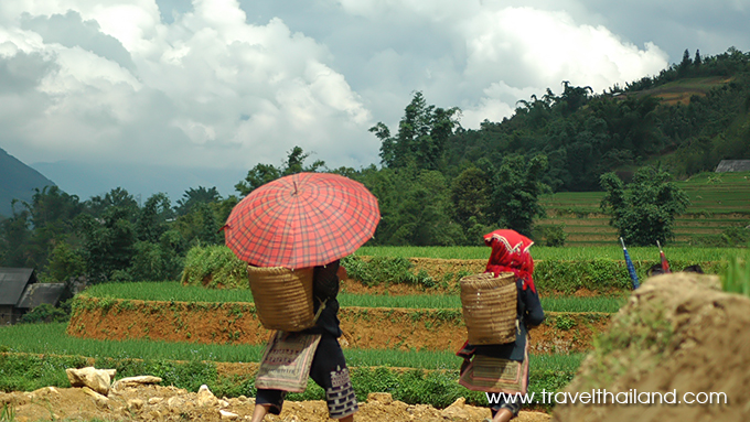 vietnam-thailand-culinary